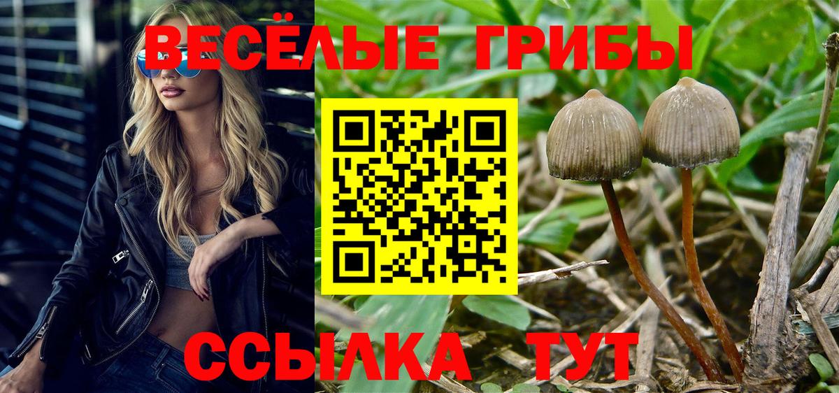 Псилоцибиновые грибы ЛСД Павловский Посад