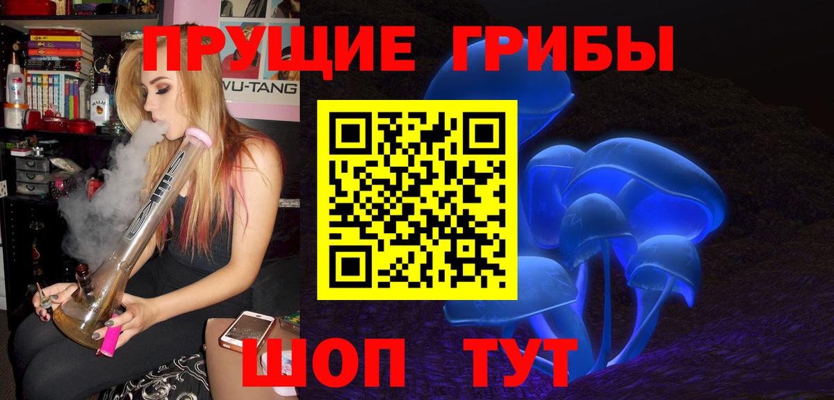 Павловский Посад  Псилоцибиновые грибы мицелий  Вход с VPN 